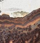 Pathologies du bois