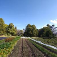 Agriculture urbaine